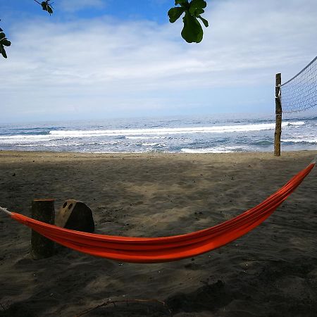 Perla Negra Beach Front Hotel Puerto Viejo de Talamanca Buitenkant foto