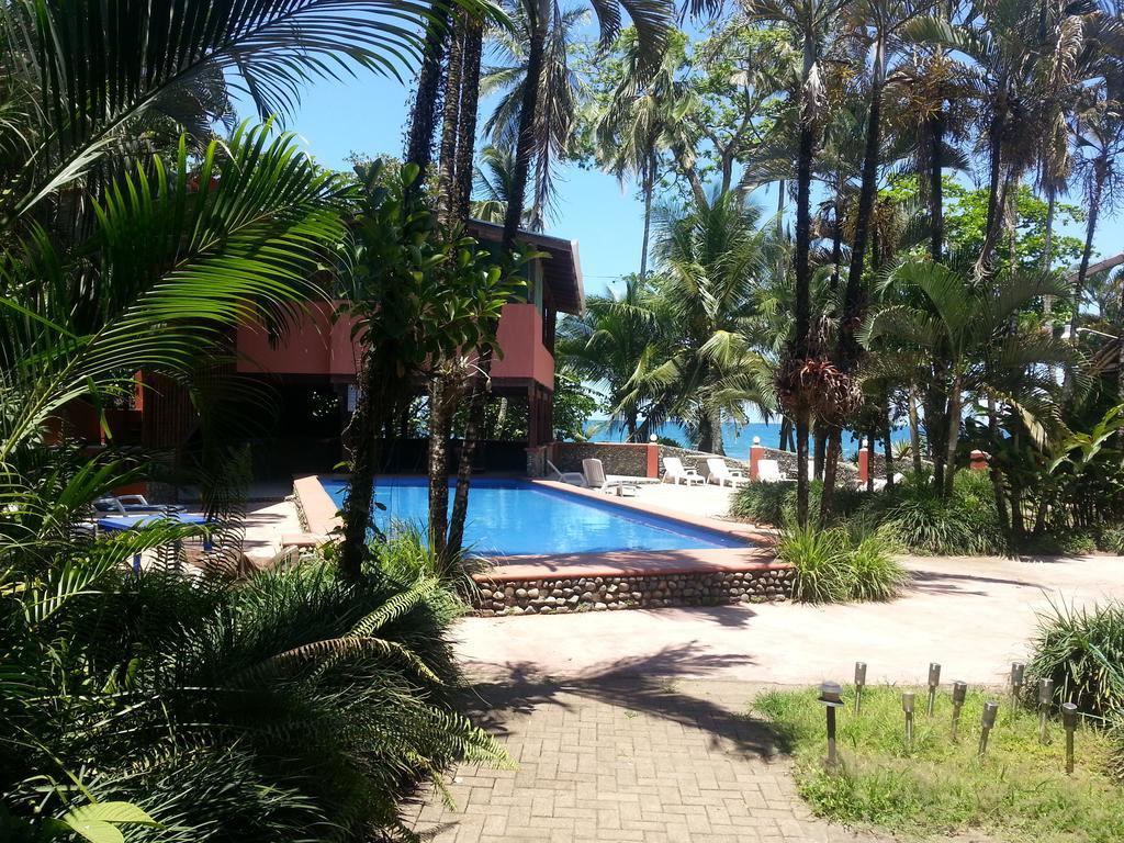 Perla Negra Beach Front Hotel Puerto Viejo de Talamanca Buitenkant foto