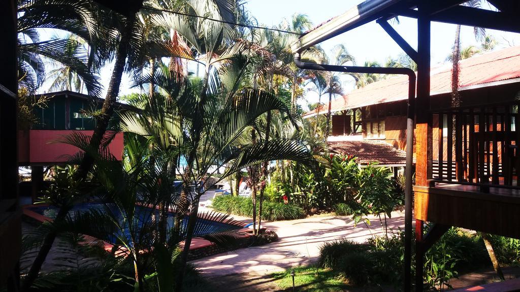 Perla Negra Beach Front Hotel Puerto Viejo de Talamanca Buitenkant foto