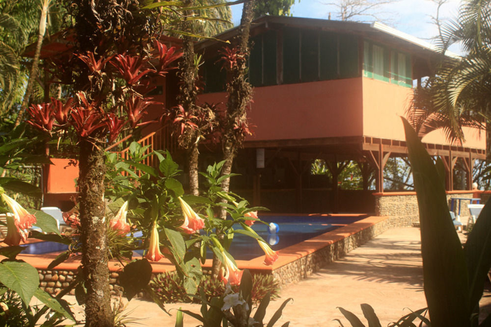 Perla Negra Beach Front Hotel Puerto Viejo de Talamanca Buitenkant foto