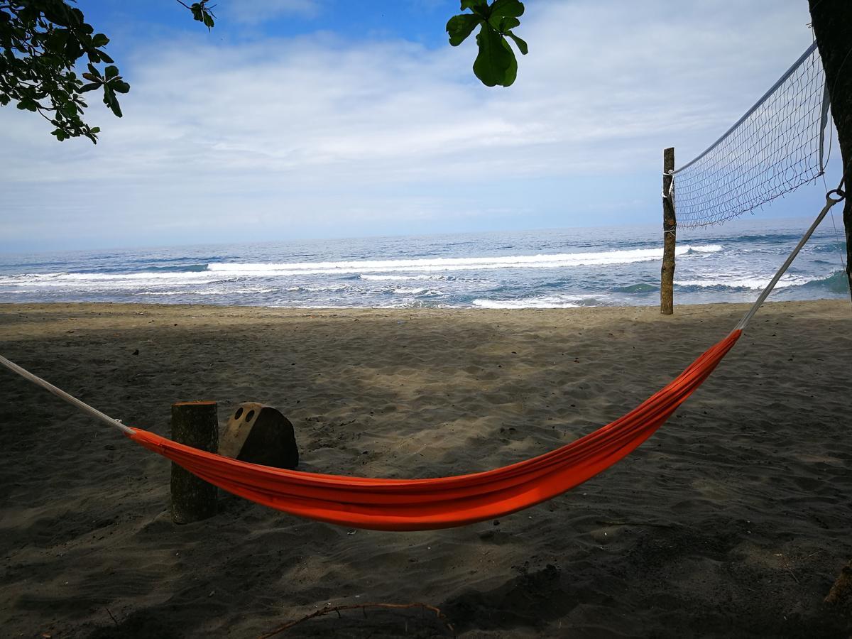 Perla Negra Beach Front Hotel Puerto Viejo de Talamanca Buitenkant foto