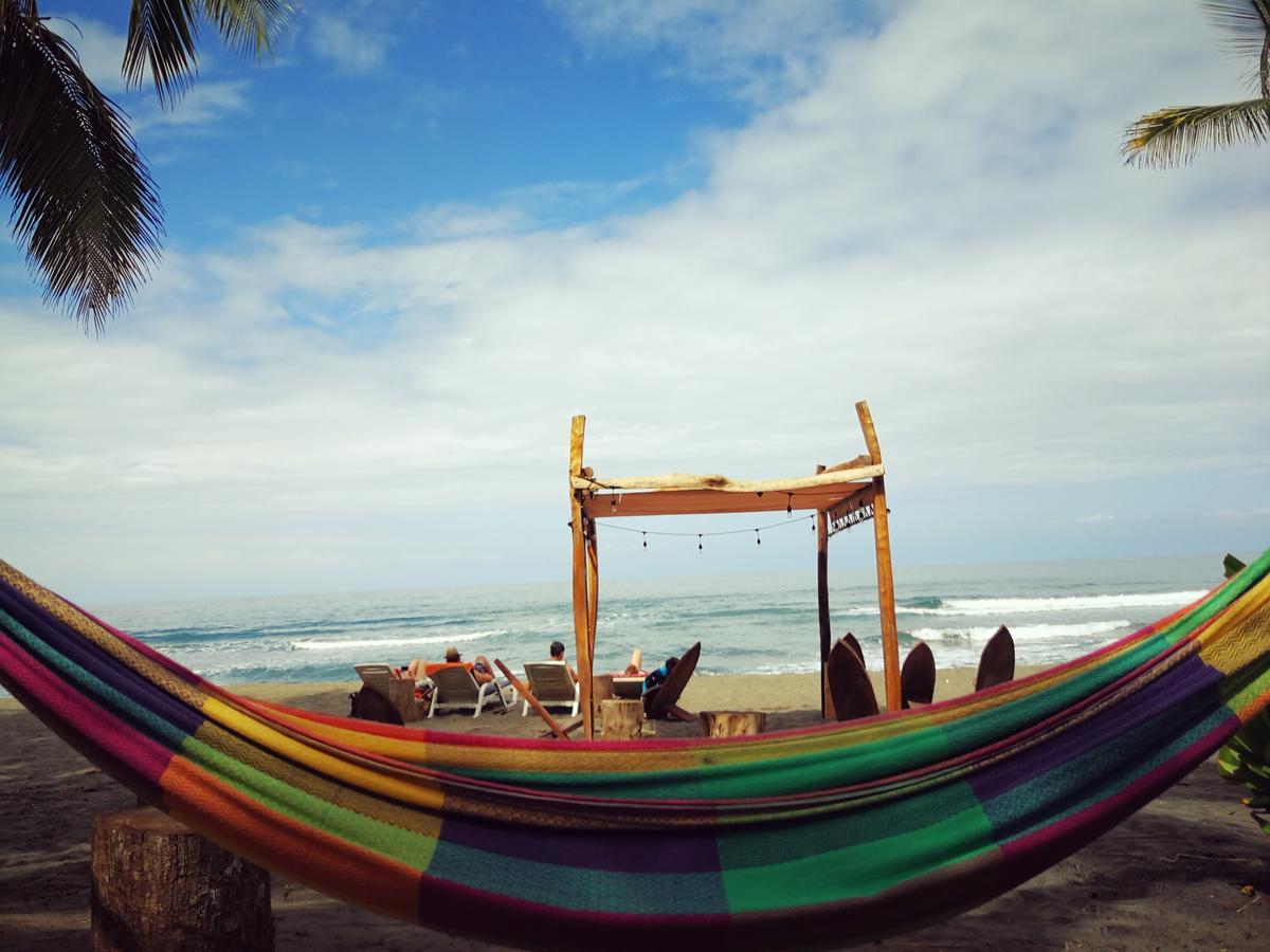 Perla Negra Beach Front Hotel Puerto Viejo de Talamanca Buitenkant foto